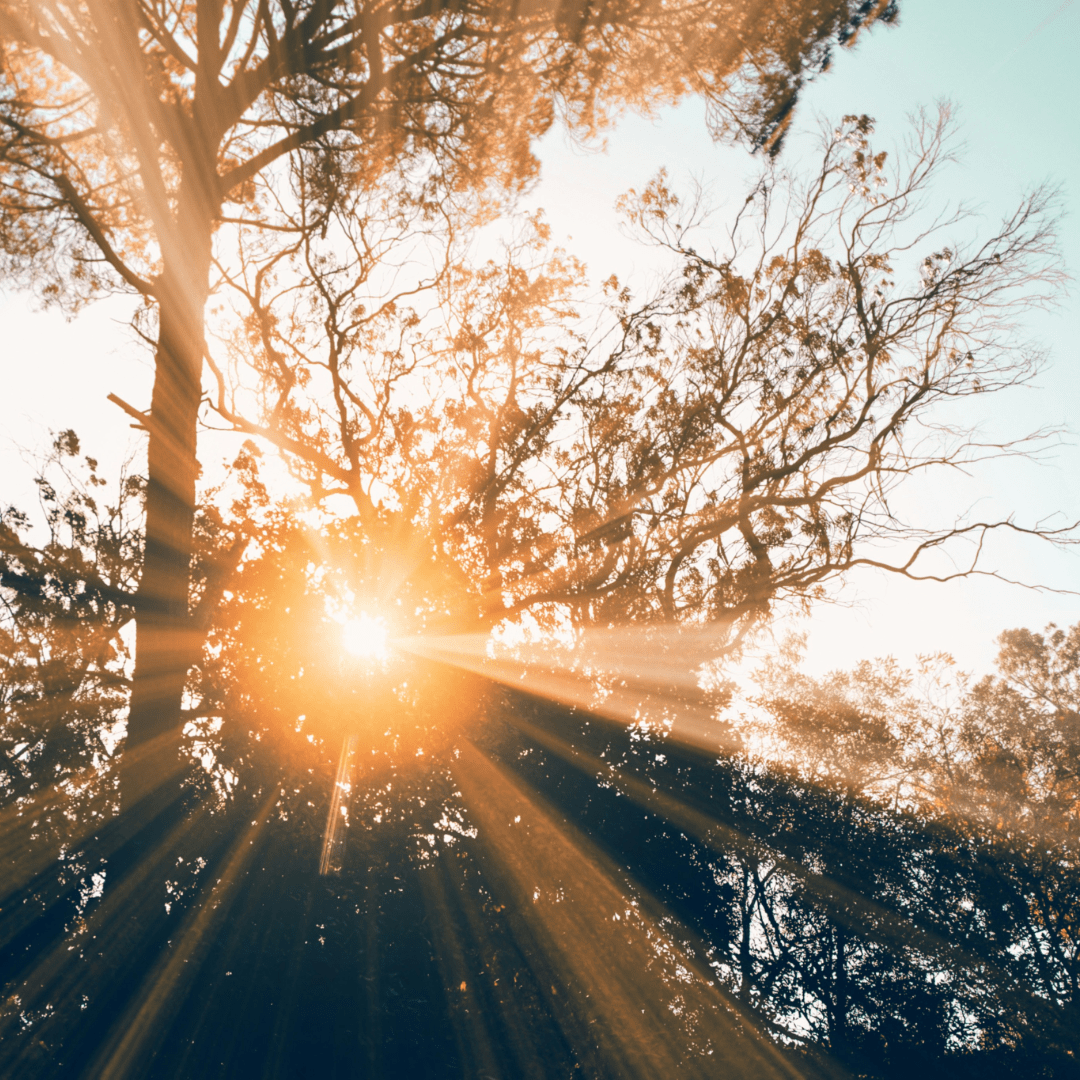 Vitamin D im Winter - Kann das Sonnenvitamin die biologische Uhr verlangsamen?